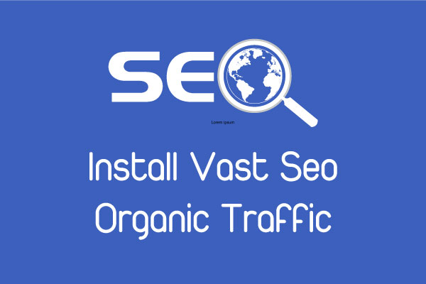 Install Vast SEO - Organic Traffic