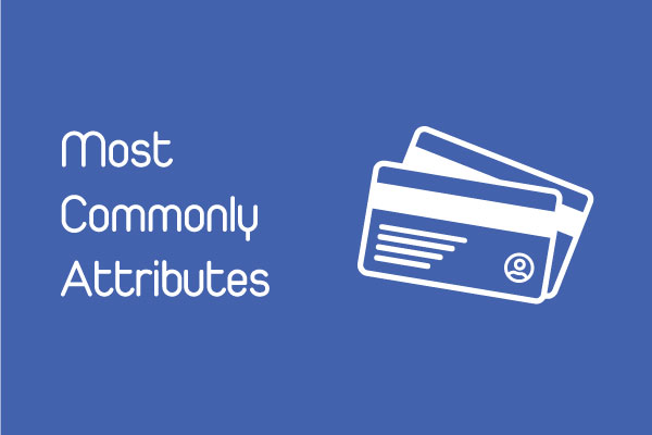 What attributes are most commonly used in Vast Customer Attribute app?