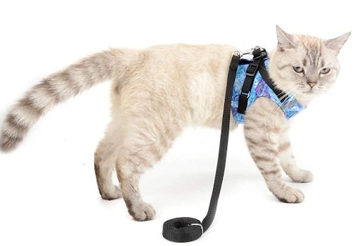 Adjustable Pet Cat Leash